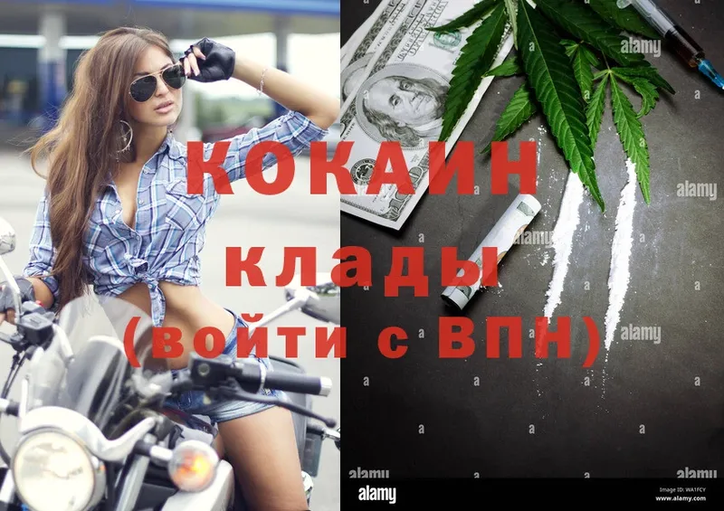 Кокаин FishScale  продажа наркотиков  Байкальск 